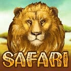 Safari Slots icon